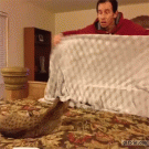 Cat confused by disapparing man magic trick