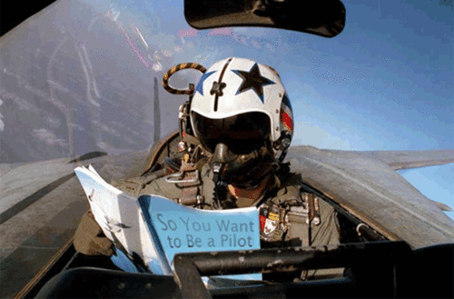 [Image: 1254935948_how_to_be_a_pilot.gif]