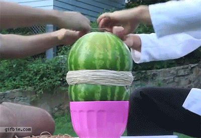 Image result for watermelon funny gifs