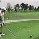 Golfer accidentally hits bird