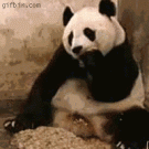 Recursive panda