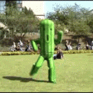 Cactus dance