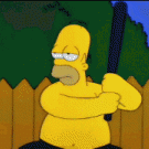 Homer training