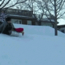 Dog steals sled