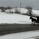 Amish wagon skiing