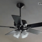 Lamp ceiling fan fail