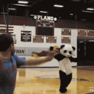 Panda basketball head shot