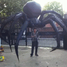 Giant spider puppet