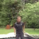 Dog trampoline accident