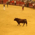 Somersault over charging bull