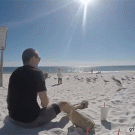 Guy catches seagull at the beach