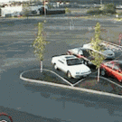 Truck goes through parking lot