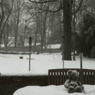 Time-lapse snow fall