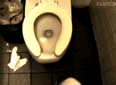 Australian Toilet Spider | Best Funny Gifs Updated Daily