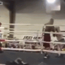 Boxer takes fake dive