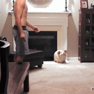 Kitten bounces off guys butt while working out