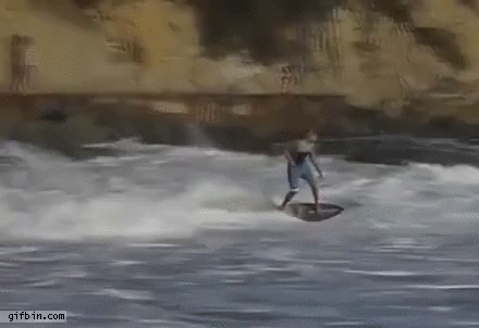 Board Switch | Best Funny Gifs Updated Daily