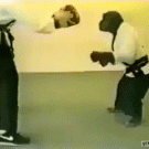 Chimp doing karate