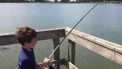 Huge Alligator Steals Fish Caught By Kid