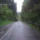 Car gets caught under falling trees