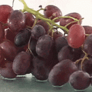 Grapes into raisins time-lapse