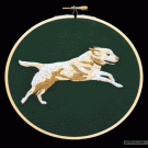 Running dog embroidery stop-motion