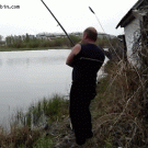 Cat steals fisherman's catch