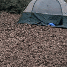 Camping prank