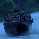 Fish crashes army boat