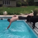 Man helps dogs get ball out of pool