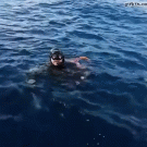Scuba diver can't get octopus off back