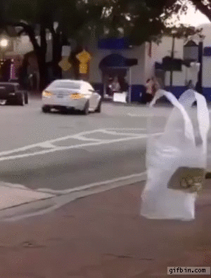 Ghost plastic bag crosses the street