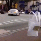 Ghost plastic bag crosses the street