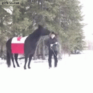 Horse spins lasso