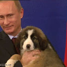 Putin and a cute puppy