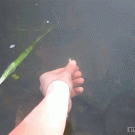 Catching bass with hand