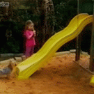 Dog gets up on slide