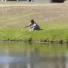 Woman feeds and fights off alligator