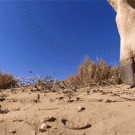 Giraffe kicks GoPro camera