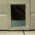 Invisible door - cat prank