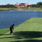 Golfer hits flying bird