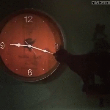 Почему часы тикают. Кот переводит стрелки часов. Прикольные гифки для часов. Ужастик с тикающими часами. Остановились часы гифки.