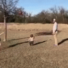 Man gets kid out of the way to remove ball from tree
