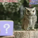 Owl vs. puppet