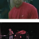 Tiger Woods vs. girl faceplanting at concert