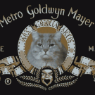 The Metro Goldwyn Mayer kitten