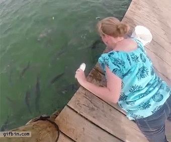 Fish Bites Girl's Hand  Best Funny Gifs Updated Daily