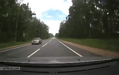 Deer Accident Dashcam Footage | Best Funny Gifs Updated Daily