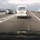 Dog falls out of moving car