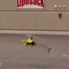 Guy lands RC helicopter on the wall